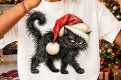 Grumpy Black Cat Christmas PNG | Fluffy Santa Hat Cat Sublim Product Image 3
