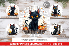 Wind Spinner Grumpy Black Cat Product Image 1