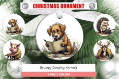 Ornament Camping Grumps Product Image 1