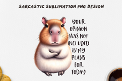 Sarcastic Animal PNG Sublimation Bundle Product Image 23