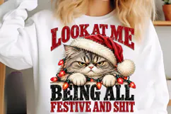 Grumpy Cat Christmas PNG Product Image 5
