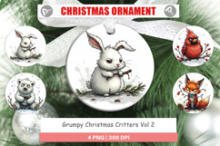 Ornament Grumpy Christmas Critters Product Image 1