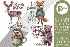 Grumpy Christmas Burnout Sublimation Product Image 1