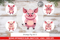 Wind Spinner Grumpy Pig Product Image 1