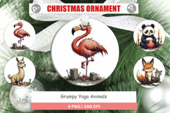 Ornament Yoga Grumps Product Image 1