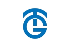GT TG Logo Design Product Image 1
