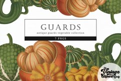 Guards Vintage Vegetable Botanical Clip Art Product Image 1