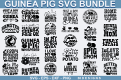 Guinea Pig SVG Bundle - Guinea Pig SVG Design ,Guinea Pig Product Image 1