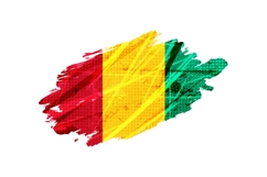 Guinea Flag with Brush Paint Style and Halftone Effect Product Image 1