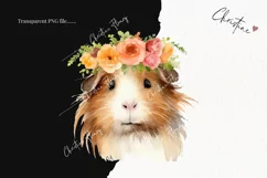 Watercolor Guinea Pig Clipart | Watercolor Animal PNG Product Image 2
