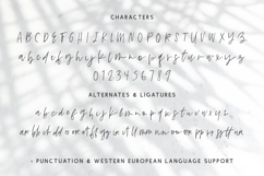 Gulfstream Script Product Image 10