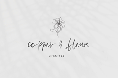 Gulfstream Script Product Image 8