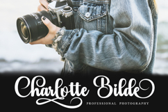 Blacker Display - Family Font In 100 Styles Product Image 7