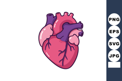 Human heart anatomy illustration with veins and arteries in Product Image 1