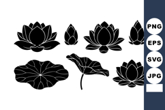 Lotus flower vector set with leaves and buds in silhouette s Product Image 1