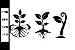 Plant Growth Stages Vector Showing Seedling and Sprout Product Image 1