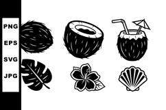 Coconut Fruit Tropical Leaf Flower Shell Silhouettes Vector Product Image 1