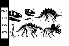 Dinosaur Skeleton Collection Vector Illustration Product Image 1