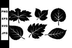 Collection of Six Black Silhouette Leaves Vector Product Image 1