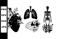 Human Anatomy Heart Lungs Brain Skeleton Floral Vector Product Image 1