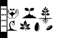 Plant Growth Cycle Vector Showing Seed Germination Product Image 1