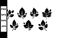 Black Silhouette Leaf Shapes Vector Set with Botanical Detai Product Image 1