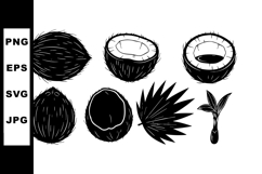 Black and White Coconut Vector Drawing Set Product Image 1