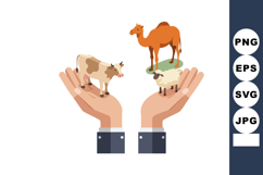 Hands holding farm animals camel cow and sheep in flat style Product Image 1