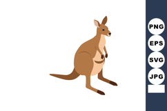 Kangaroo animal wildlife marsupial sitting calm isolated on Product Image 1