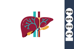 Human Liver Anatomy with Blood Vessels and Gallbladder Vecto Product Image 1