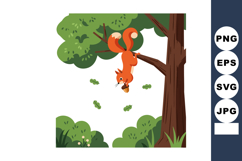 Red squirrel hanging upside down from tree branch with acorn Product Image 1