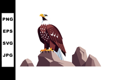 Bald eagle perched on rocky landscape with detailed feathers Product Image 1