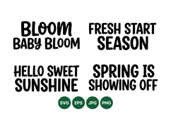 Hand Lettered Spring Phrases SVG Cut Files Product Image 1