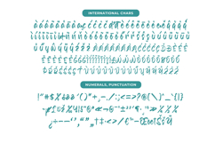 Hadley Bestone Bold Handwritten Font Type Product Image 14