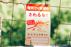 Hagumi Product Image 3