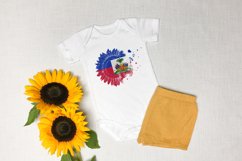 National Sublimation Art- Backgrounds Bundle. Haiti Product Image 3