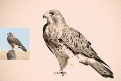 Halftone &amp; Engraved Photo Effects Product Image 4