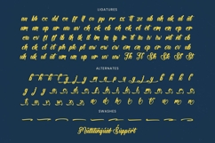 Halfway Ferald - Bold Calligraphy Font Product Image 19