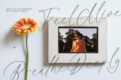 Halista Rihana - Stylish Beauty Script Font Product Image 15