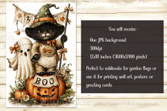 Halloween Garden Flag, Sublimation Vintage Cat Boo Flag d4 Product Image 2