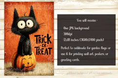 Halloween Garden Flag, Black Cat Trick or Treat Garden Flag Product Image 2