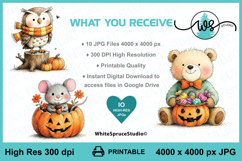 Halloween Animals Clipart | Cute Fall Animals Product Image 2