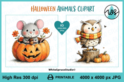Halloween Animals Clipart | Cute Fall Animals Product Image 6