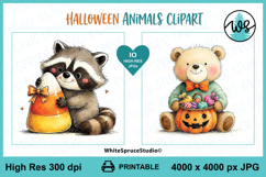 Halloween Animals Clipart | Cute Fall Animals Product Image 7