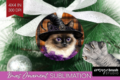 Halloween Cat Ornament PNG - Witch Hat PNG Sublimation Product Image 1