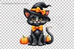 Halloween Cat Graphic, Halloween PNG, Black Cat Witch, g2 Product Image 2