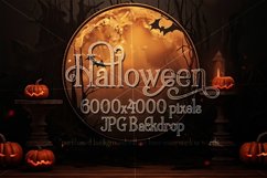 Halloween Backdrops, Halloween Fantasy Backgrounds BUNDLE Product Image 12