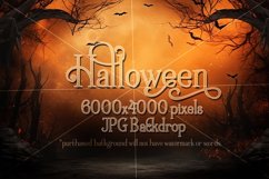 Halloween Backdrops, Halloween Fantasy Backgrounds BUNDLE Product Image 3