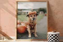 Halloween Farmhouse Wall Art Set