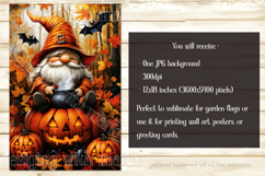 Halloween Gnome Garden Flag, Cauldron, Jack o Lantern, d10 Product Image 2